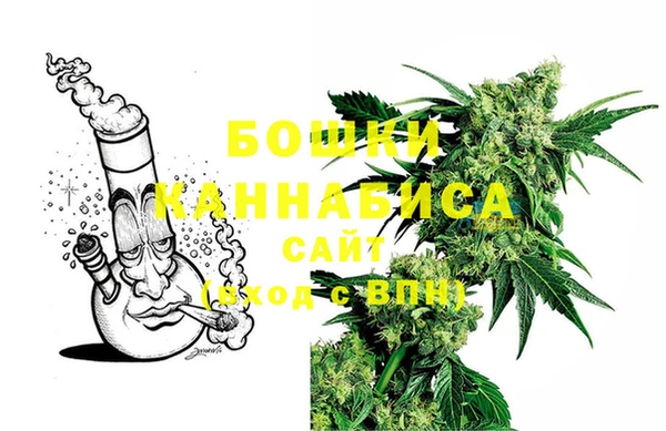 сатива Алексин